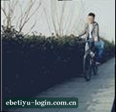 郑宇